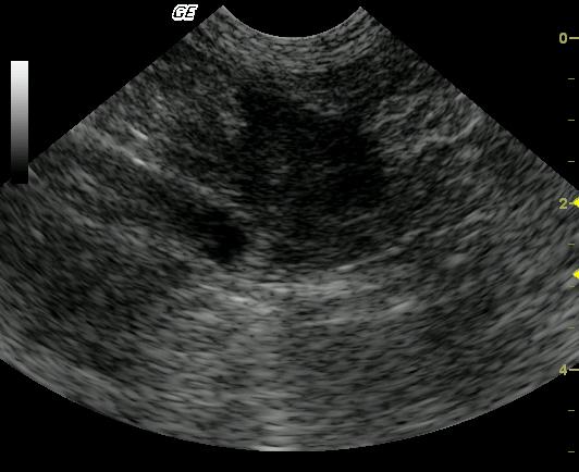 Missy_1_11232009055617