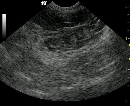 mAC_1_12012009080009