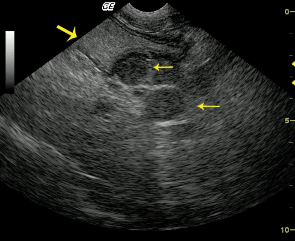 Jesses216of44_10142010081037