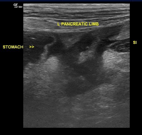 20090831115009_01152011081410