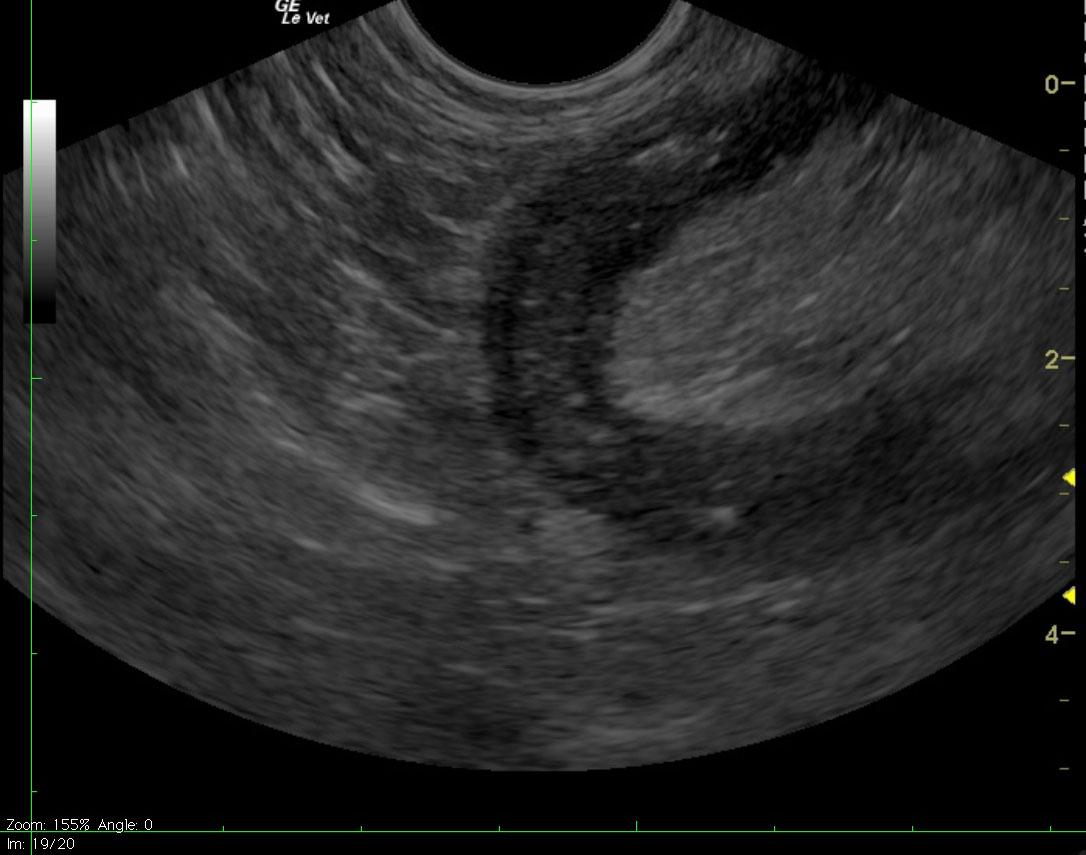 Jan2010COMimage5anon_07262011081205