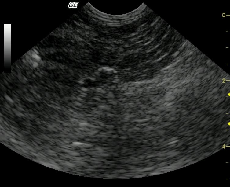 05_00034_jpg_01_07072011122523