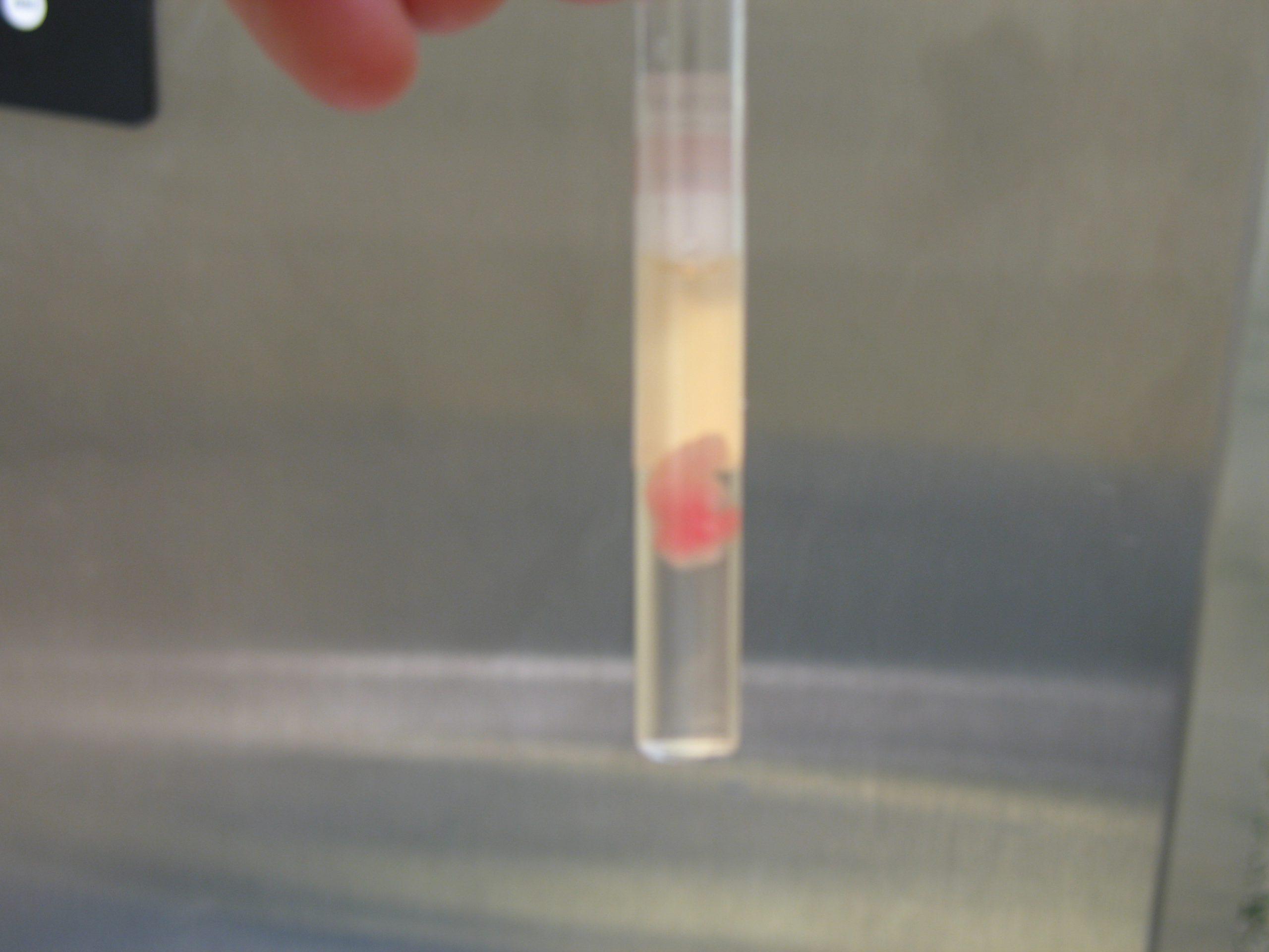 Sammyyusekewitzphoto_08062011091248