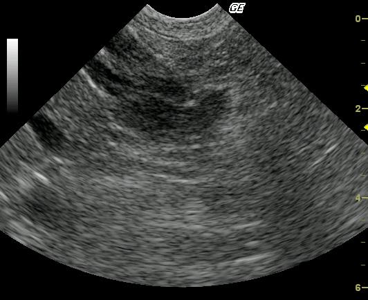 sammy3_08062011091156