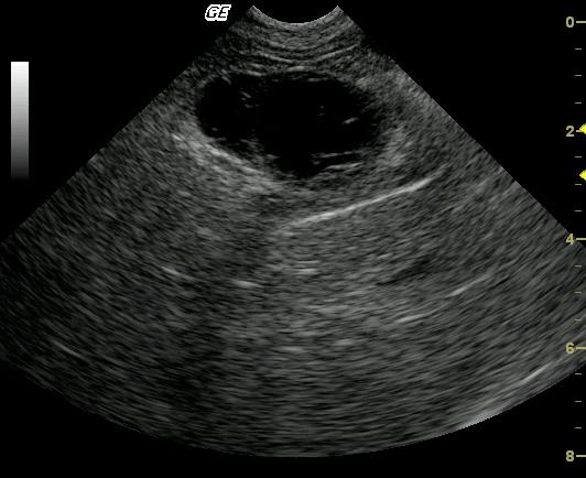 sammy1_08062011091133