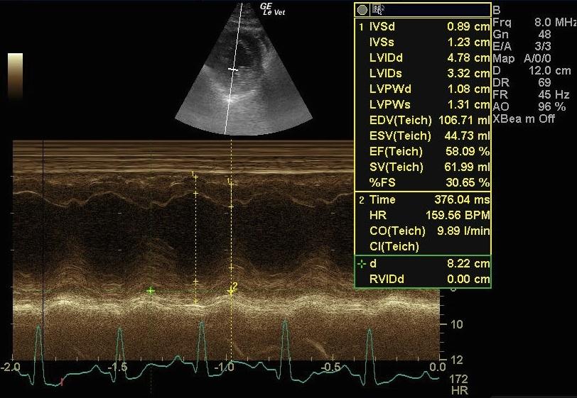 15_00109_mmode_01_03042012065606