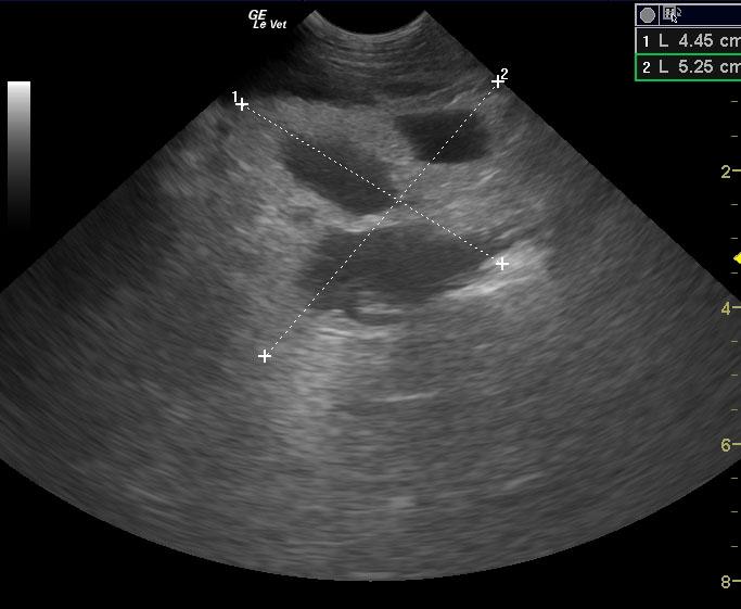 20120930205012_10302012055510