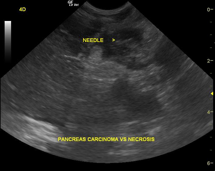 20120930205226_10302012055454