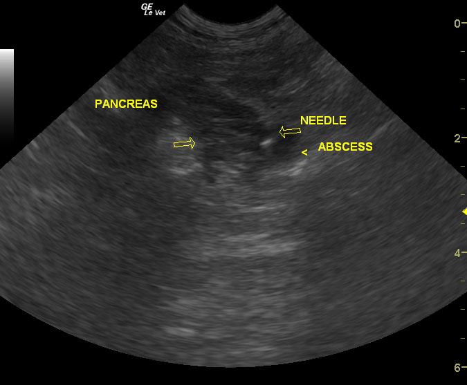 20120930205408_10302012055440