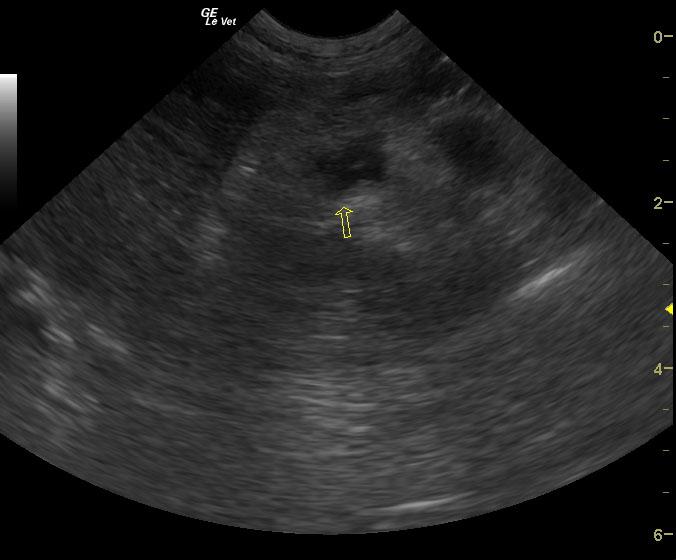 20120930205654_10302012055427