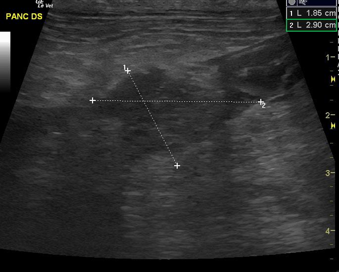 20120930210244_10302012055412