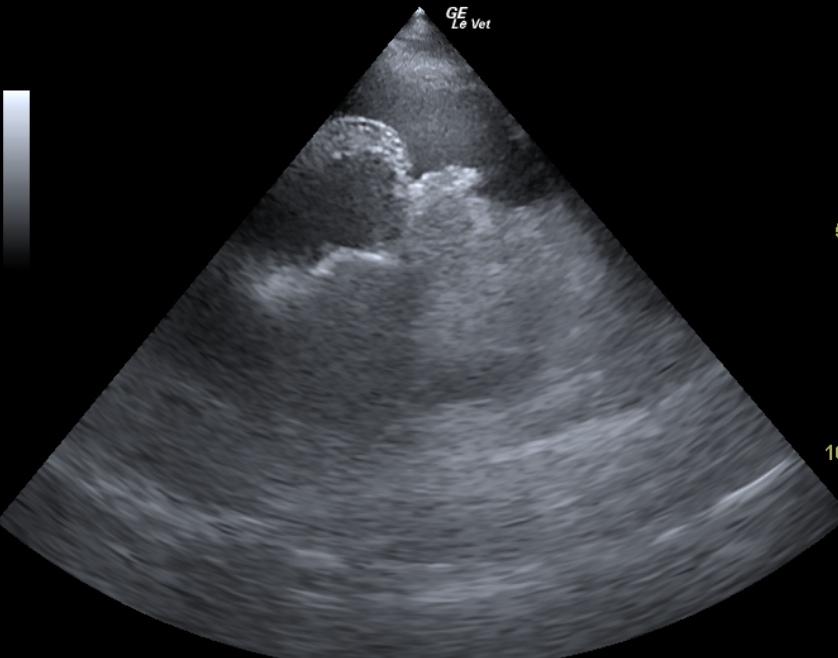 Heartbasemass_10292012124754