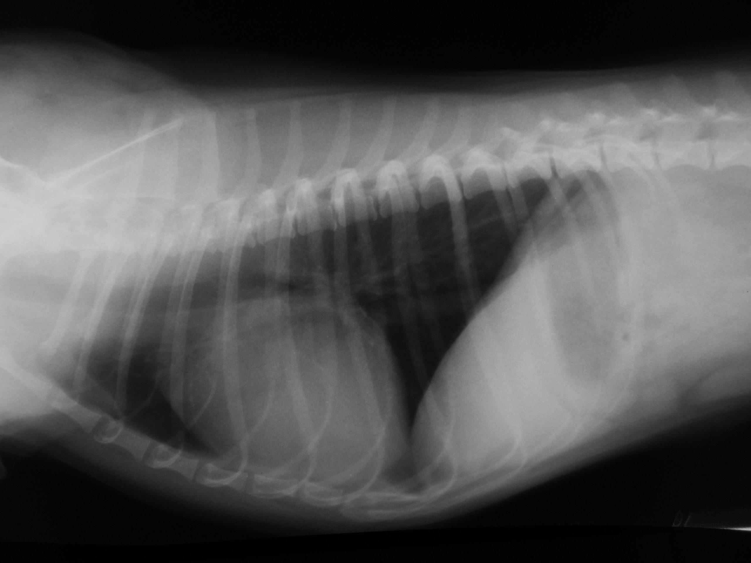 res_int_bubble_study_01