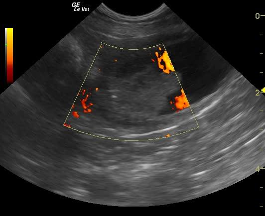 vlcsnap-2013-01-26-18h35m13s129