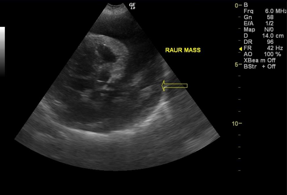 lady_deans_raur_mass_2