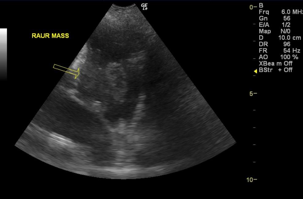 lady_deans_raur_mass