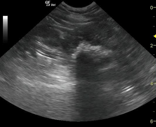 vlcsnap-2013-11-09-15h50m04s107