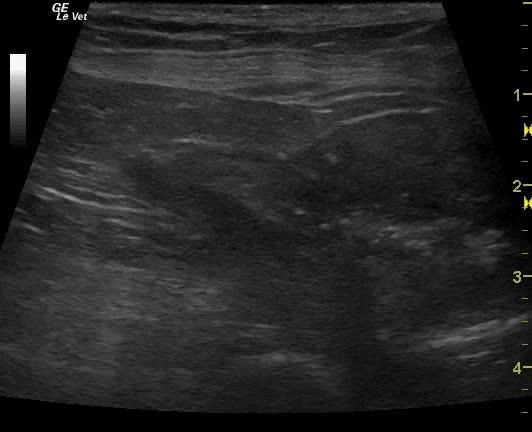 vlcsnap-2013-11-09-15h51m23s0