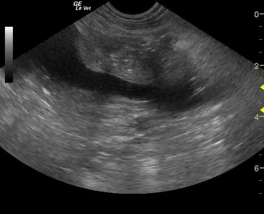 vlcsnap-2013-01-27-17h54m42s144