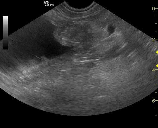 vlcsnap-2013-01-27-17h56m31s206