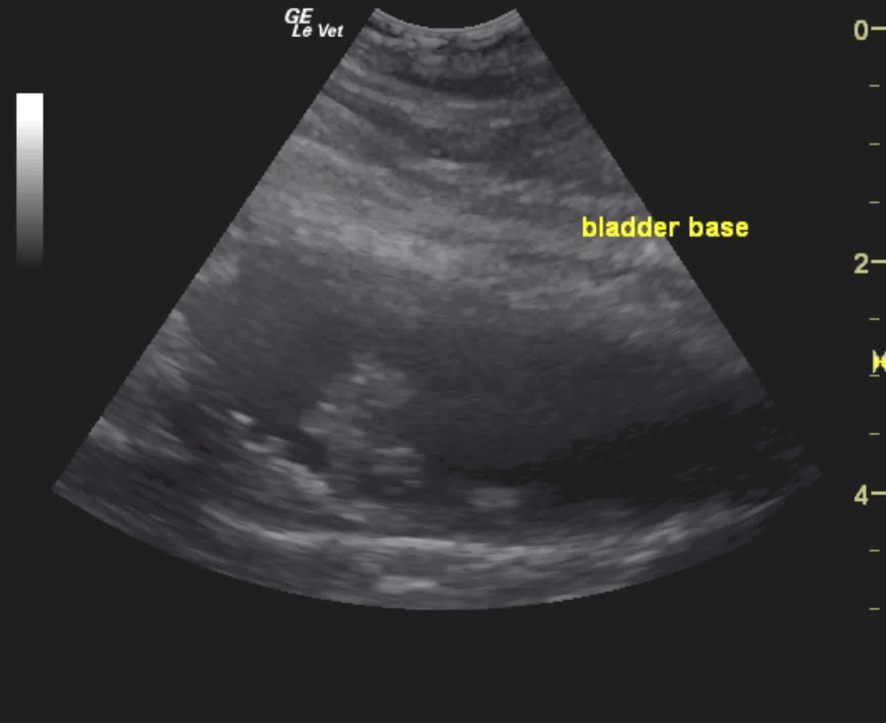 vlcsnap-2014-05-04-15h04m27s240