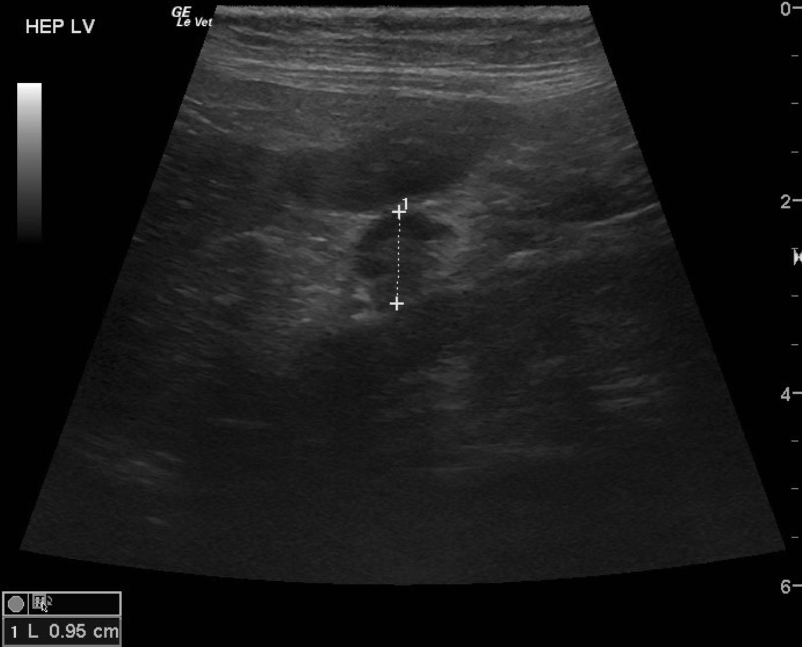 maurer_nephthys_heaptic_ln_lsa_fna
