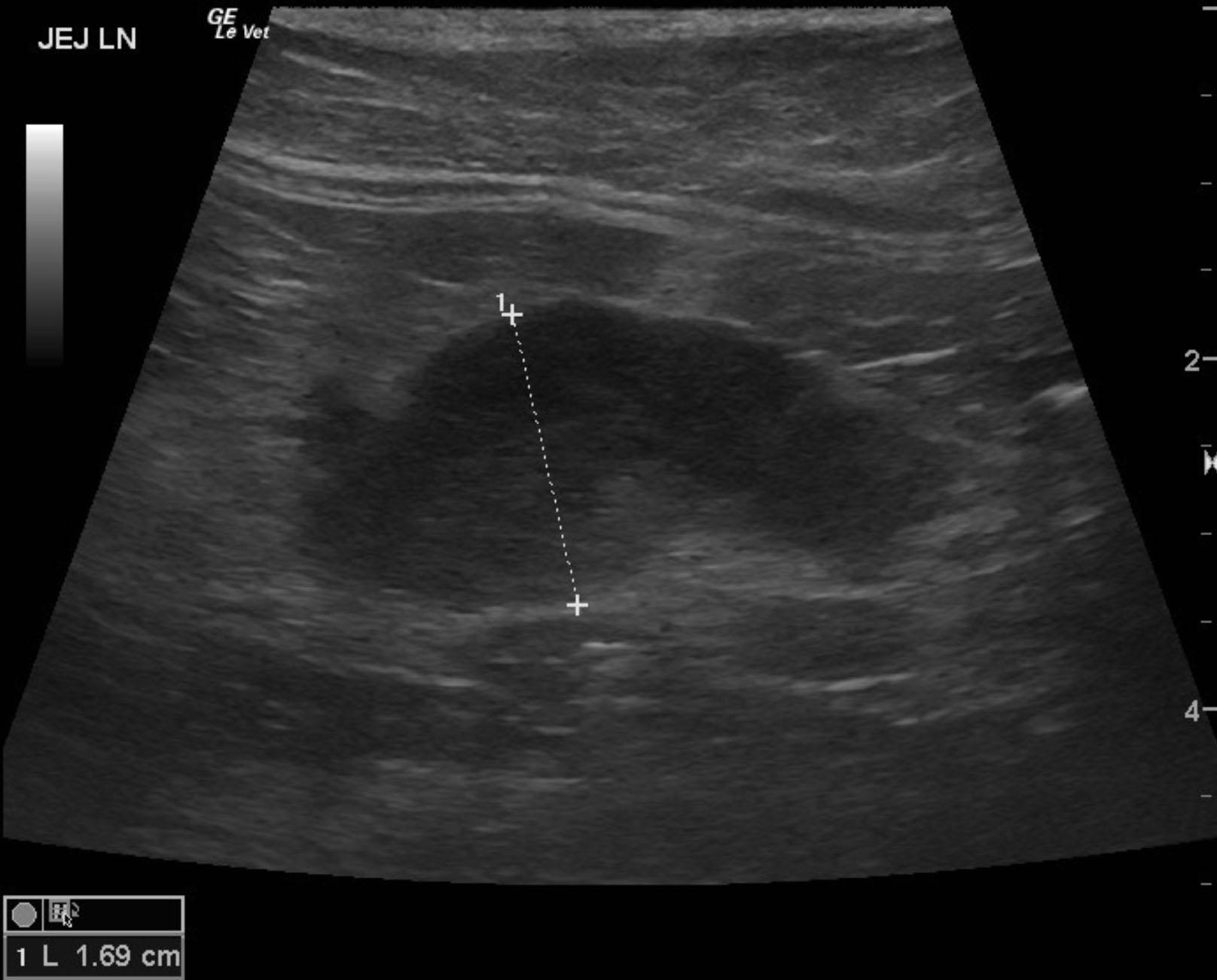 maurer_nephthys_ln_lsa_fna2