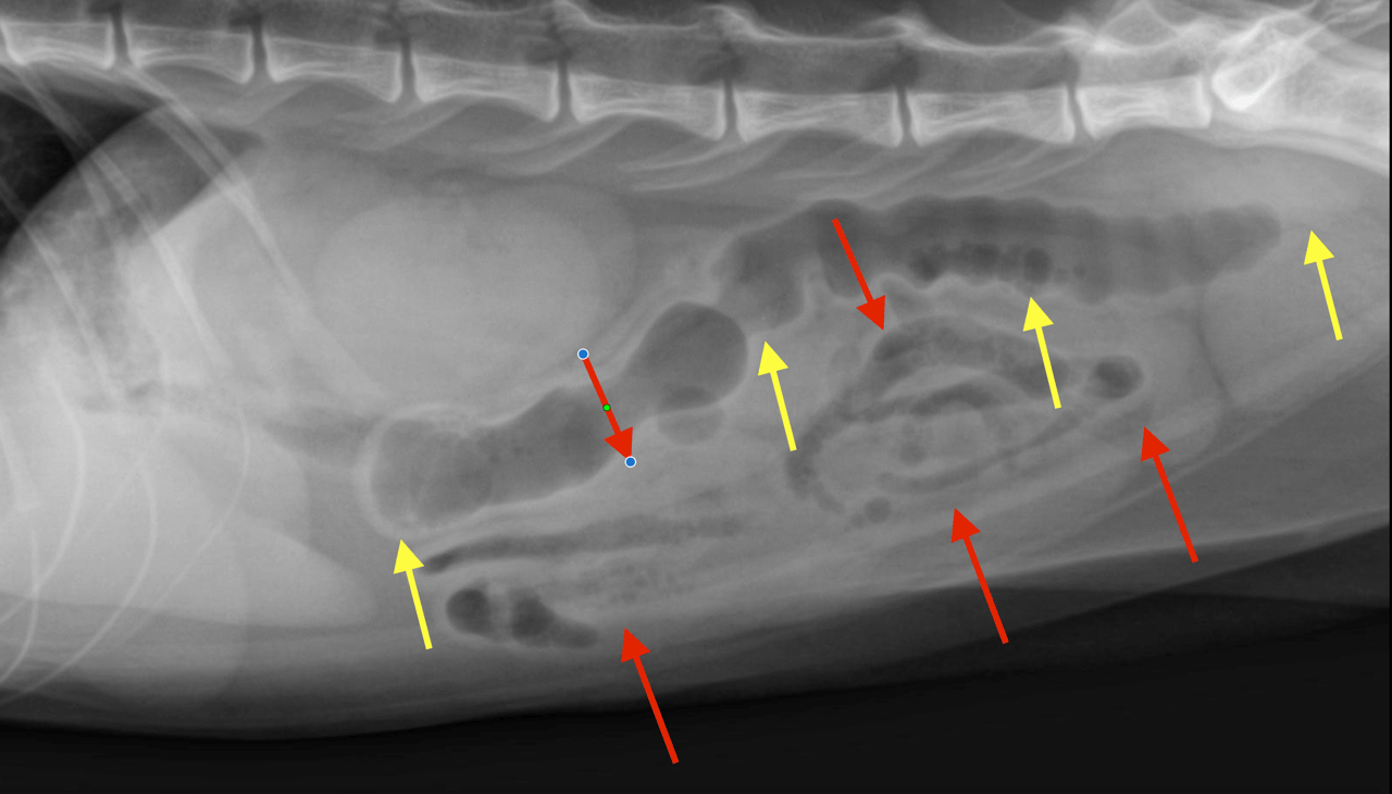 bildschirmfoto_2015-09-12_um_13