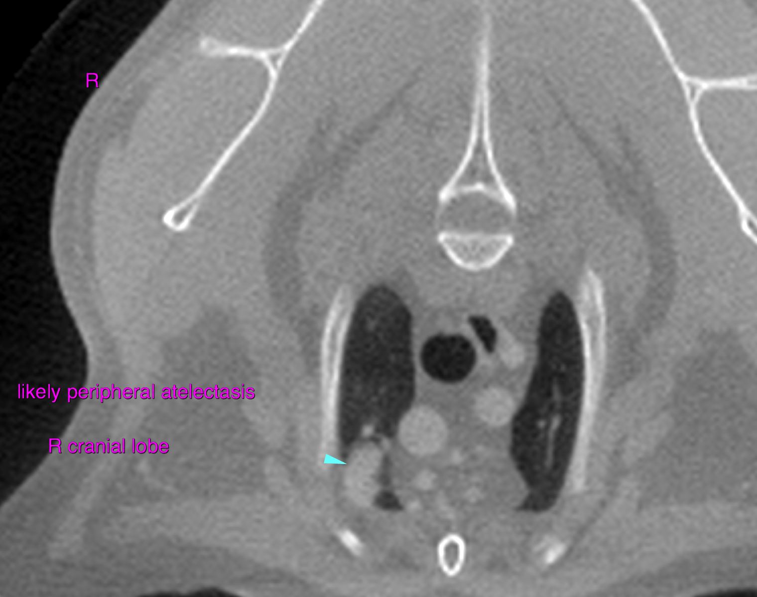 bildschirmfoto_2016-06-22_um_18