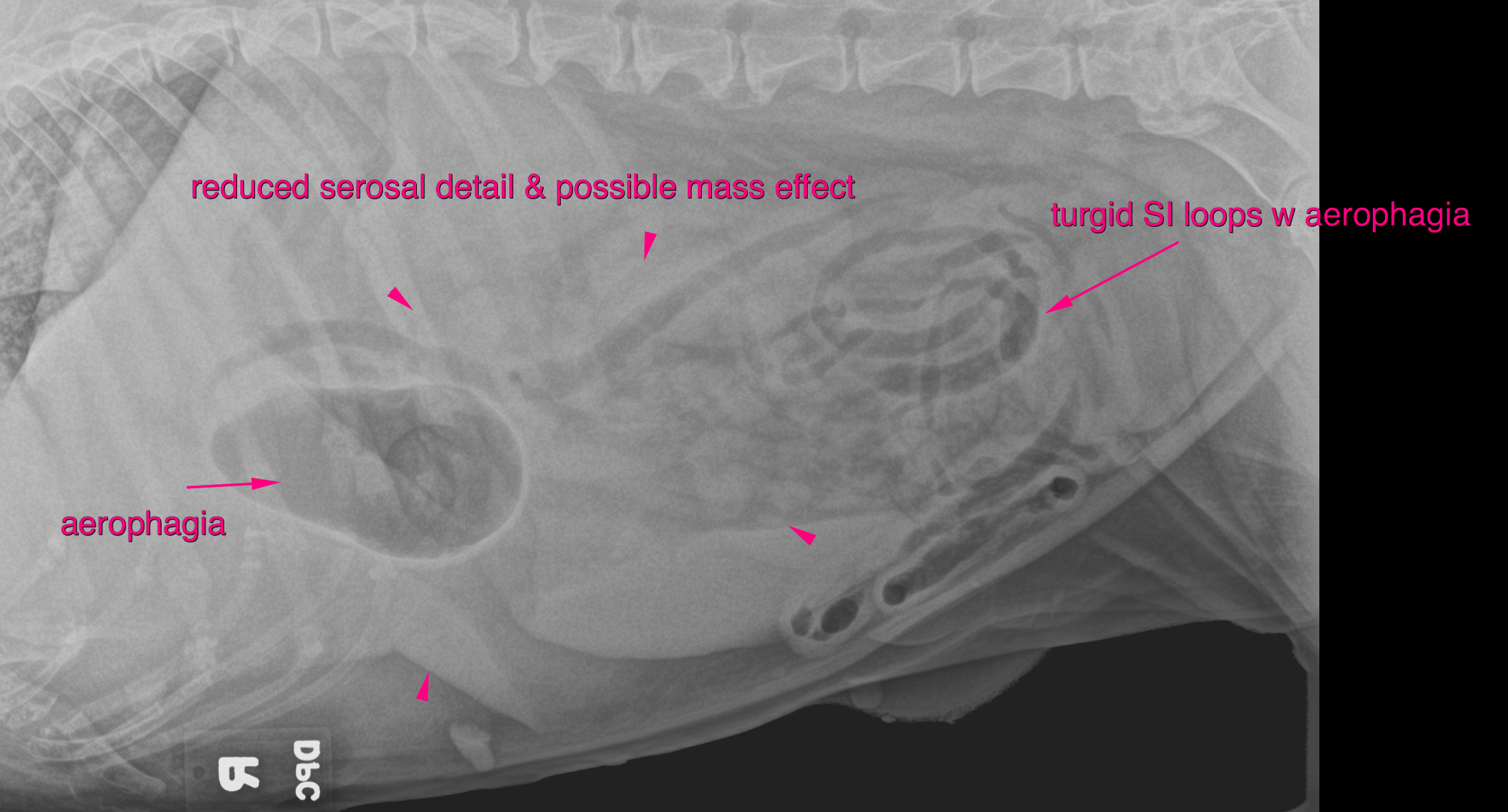 bildschirmfoto_2016-10-20_um_11